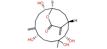 Sinulaflexiolide D